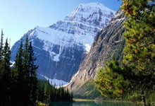 勒沃库森对阵斯图加特，谁能在这场德甲对决中占得先机？